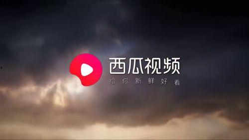 免费国产巨作视频网站,揭秘国产视频网站的精彩世界