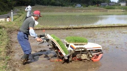 国产红薯插秧机视频大全,高效农业机械化新篇章