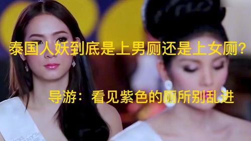 国产人妖qq视频,网络社交的多元魅力与挑战